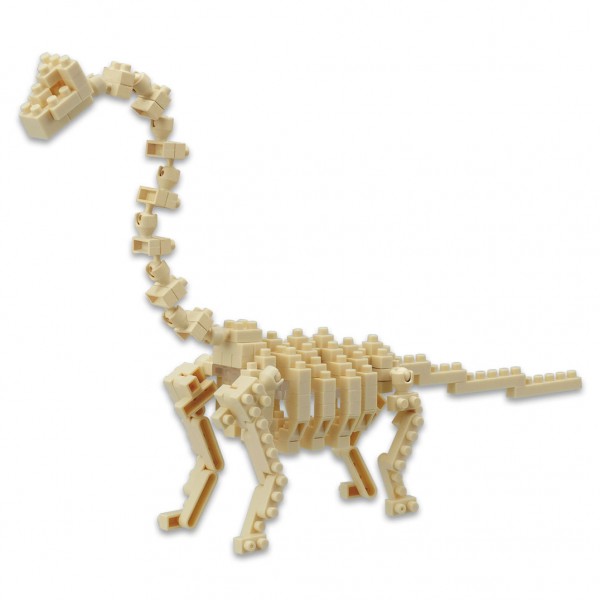 Brachiosaurus Skelett (NBC-114)