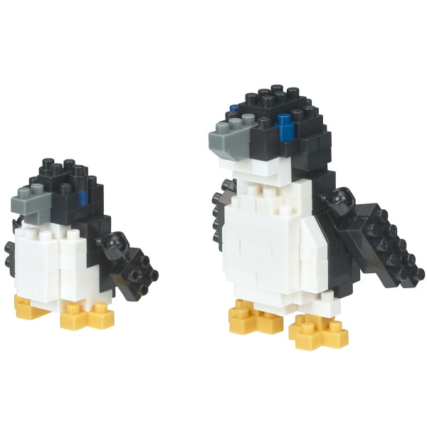 Fairy Penguins (NBC-310)