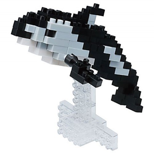 Pacific White-Sided Dolphin (NBC-191)