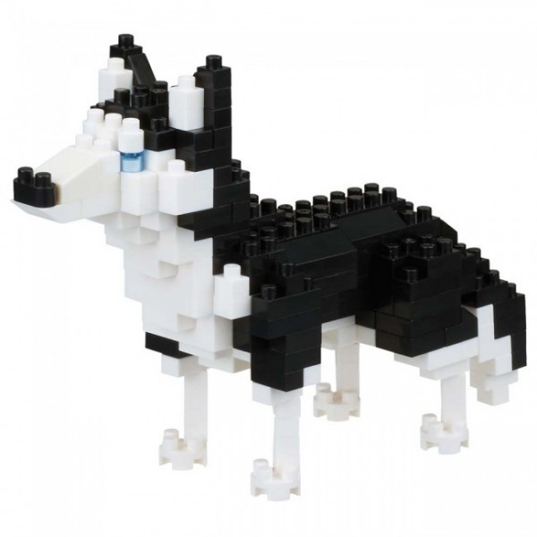 Siberian Husky (NBC-264)