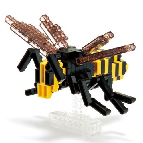 Asiatische Riesenhornissen (IST-005)